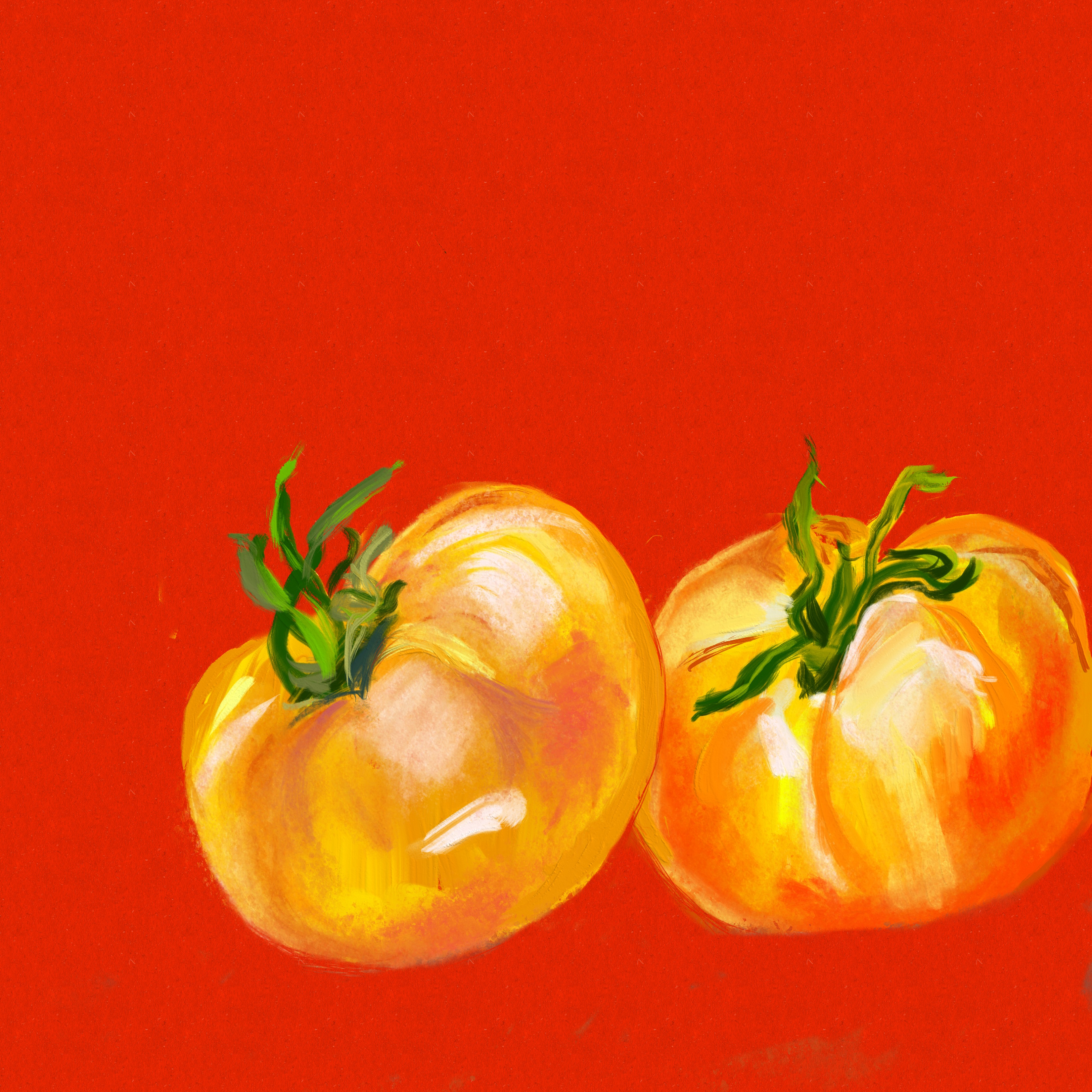 Tomato No. 11