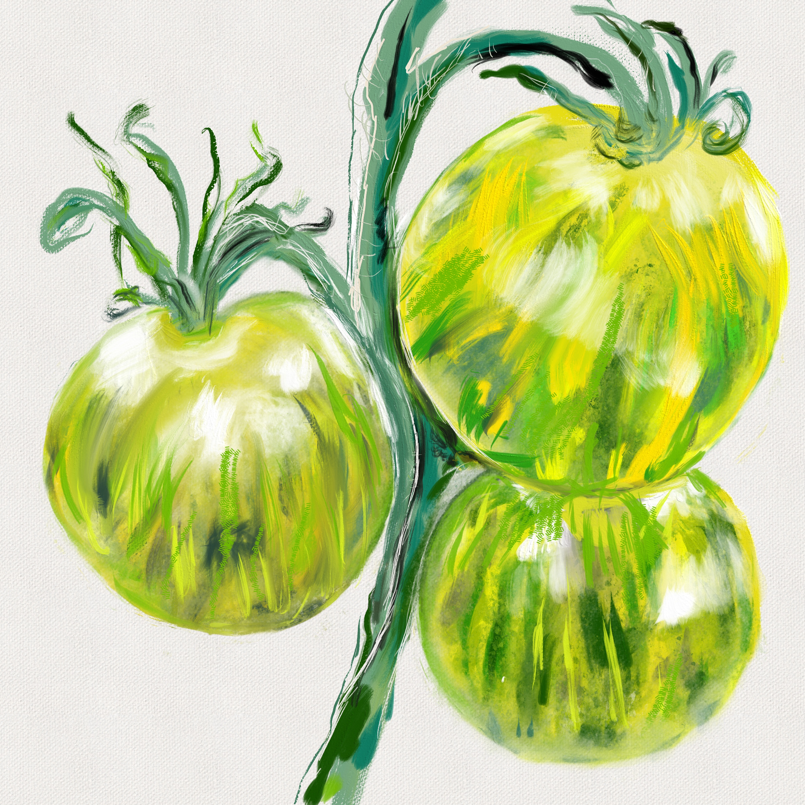 Tomato No. 13
